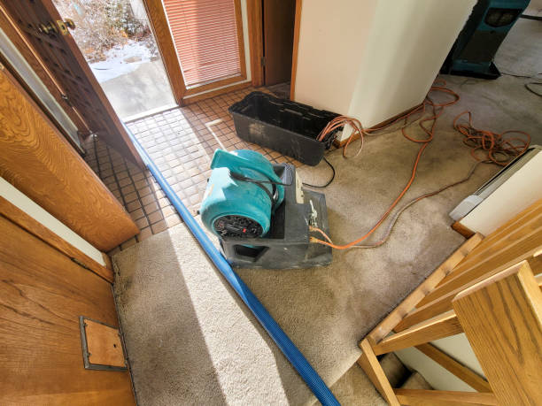 Reliable UT Water damage restoration Solutions