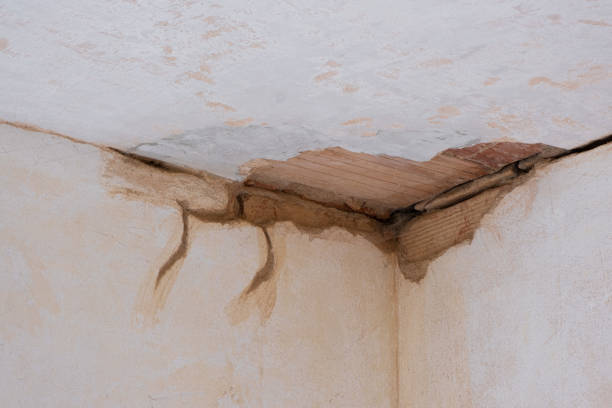Best Sewage cleanup and water damage restoration  in Heber, UT