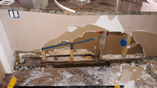 Best Flood damage cleanup  in Heber, UT