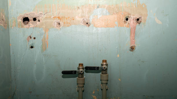 Best Carpet water damage restoration  in Heber, UT