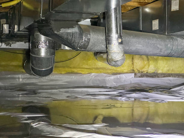 Best Local water damage restoration  in Heber, UT