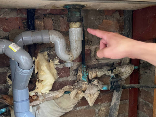 Best Mold removal after water damage  in Heber, UT