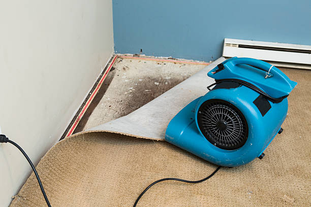 Best Flood restoration services  in Heber, UT